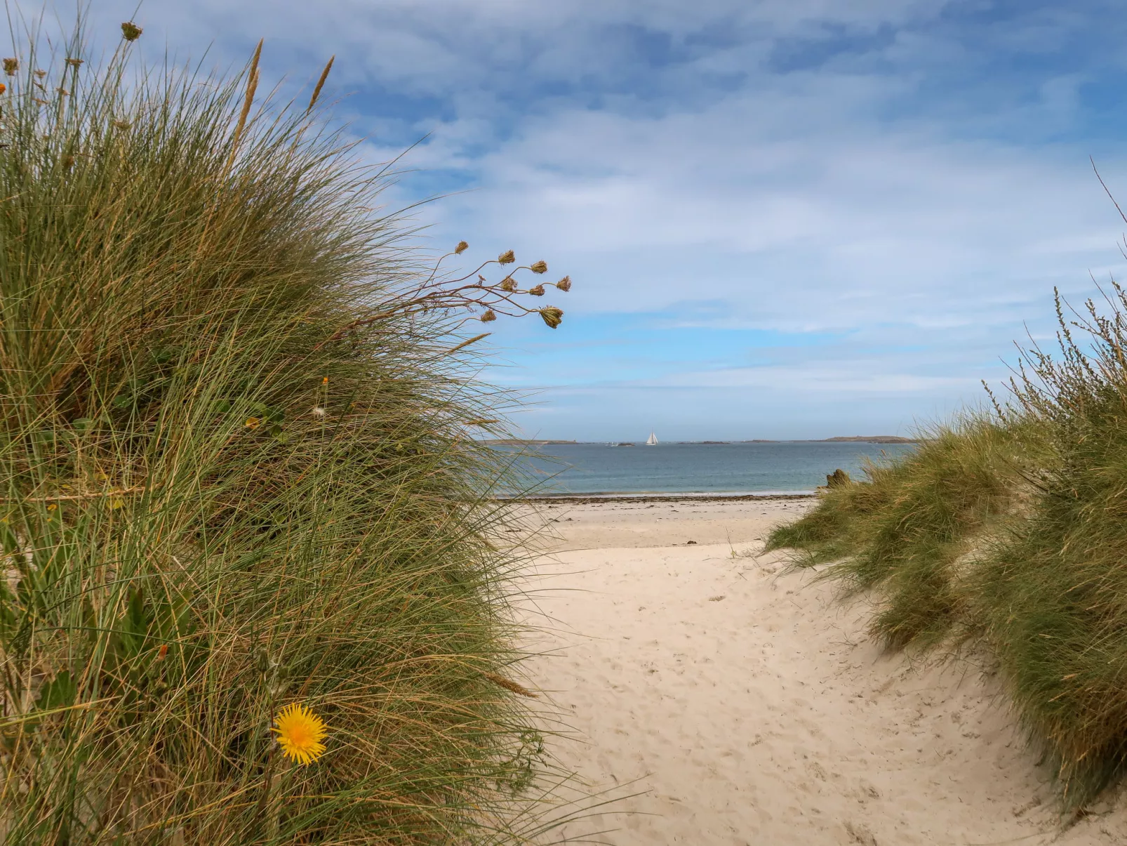 Les Dunes-Area