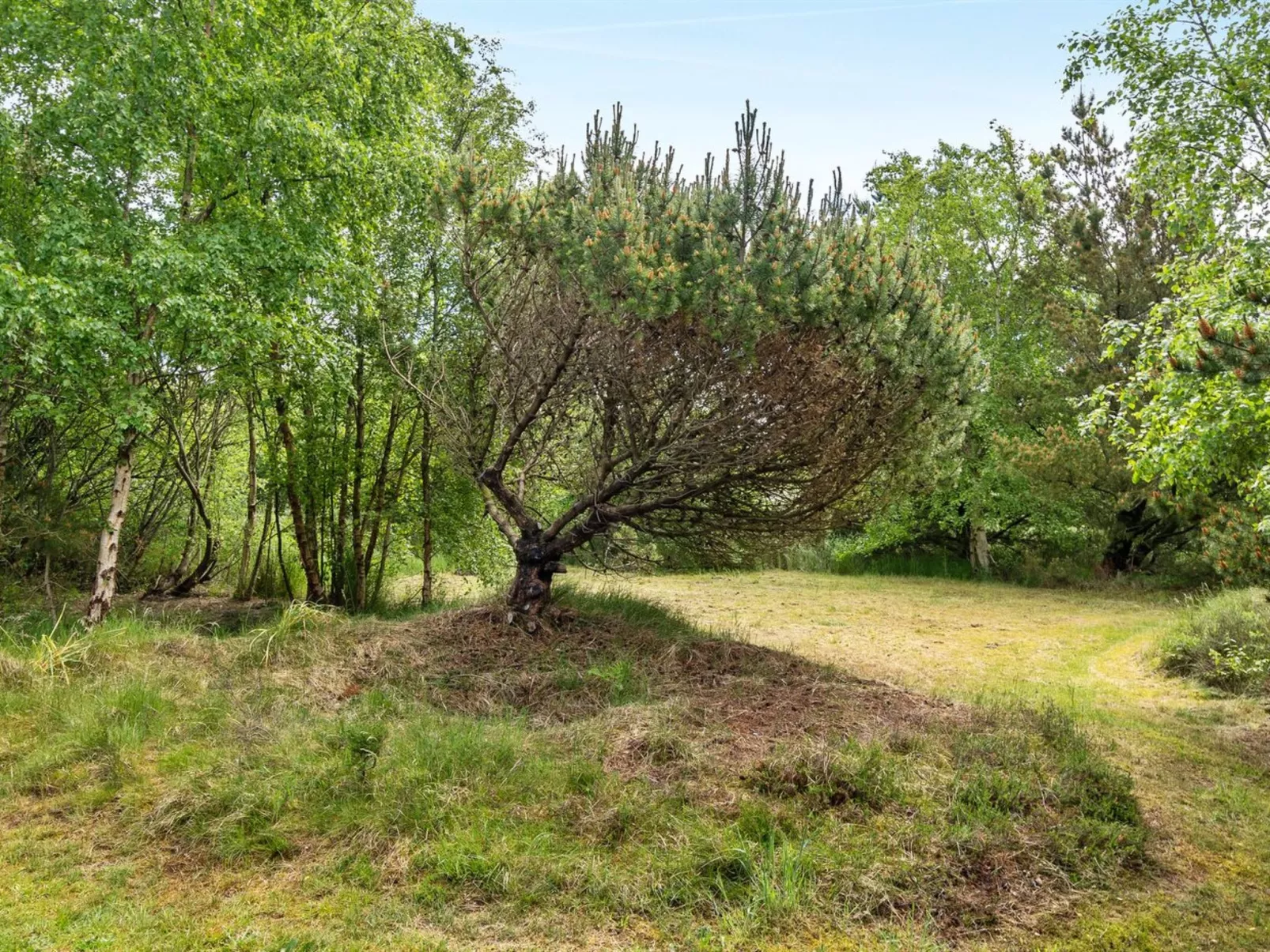 "Glenna" - 1.8km from the sea-Draußen
