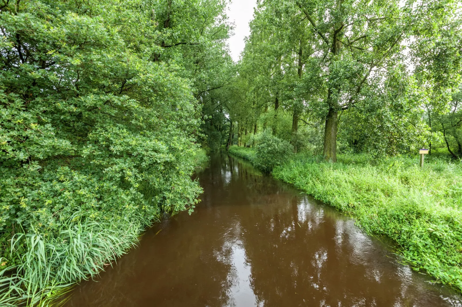 De Vrije Vogel-Areas summer 1km