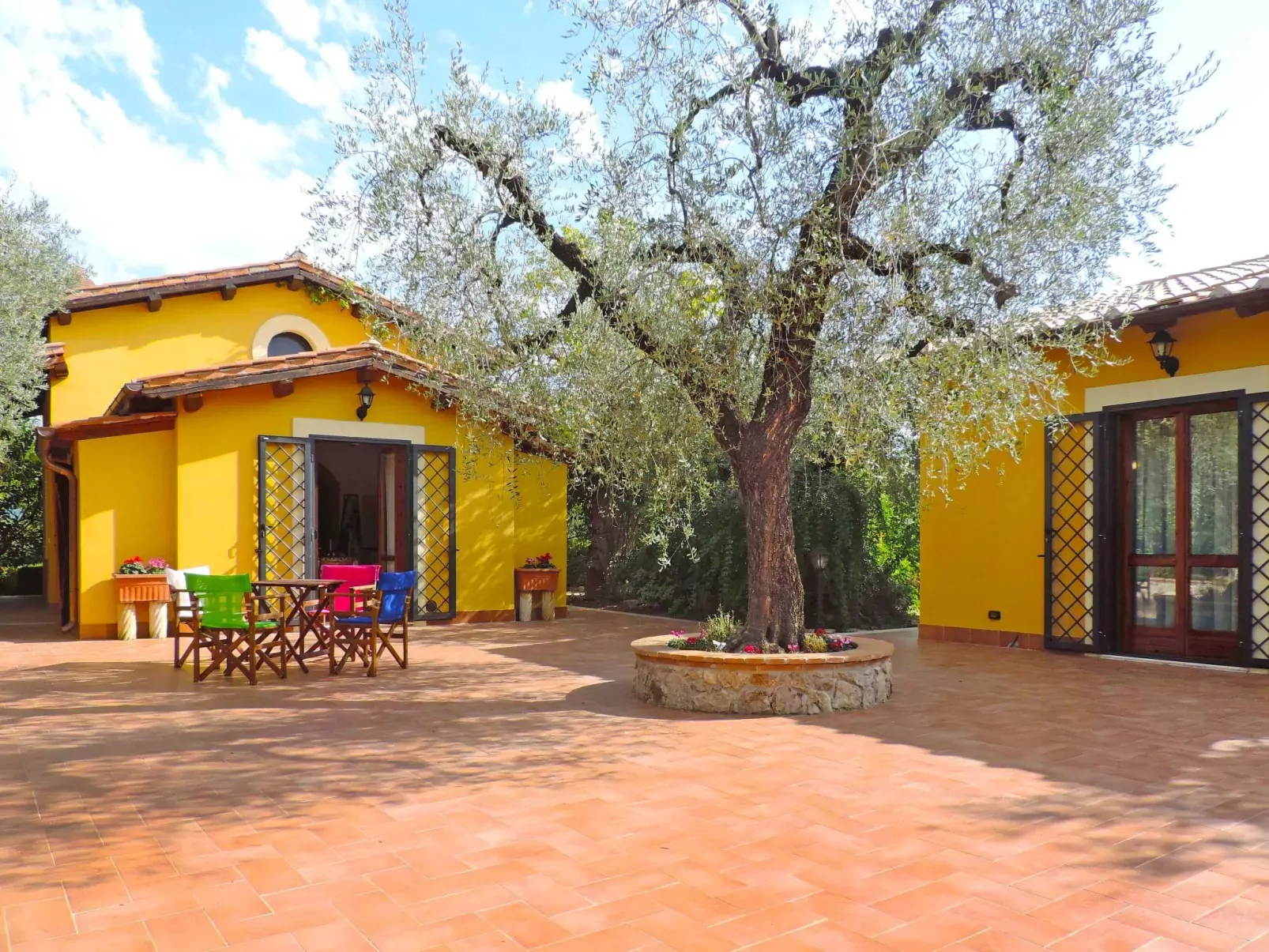 Olive Grove Sabina-Outside