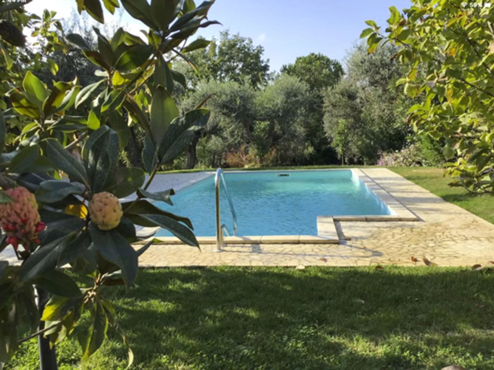 Olive Grove Sabina-Outside