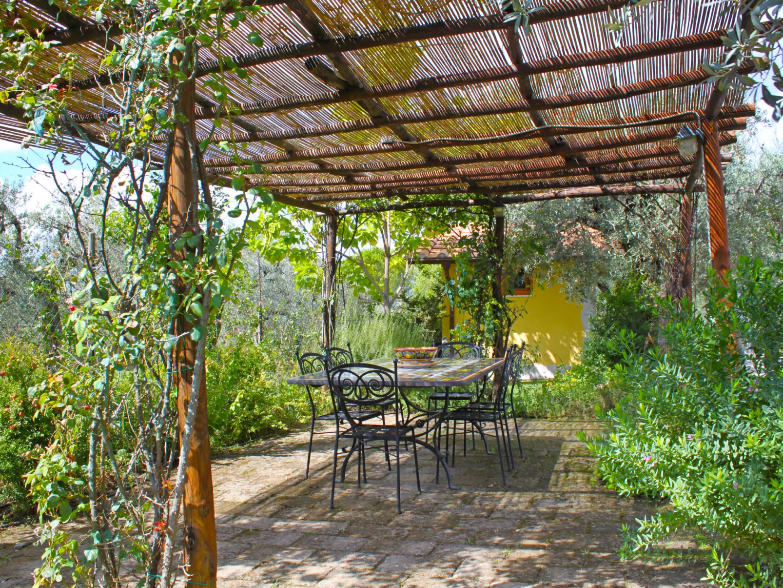 Olive Grove Sabina-Outside