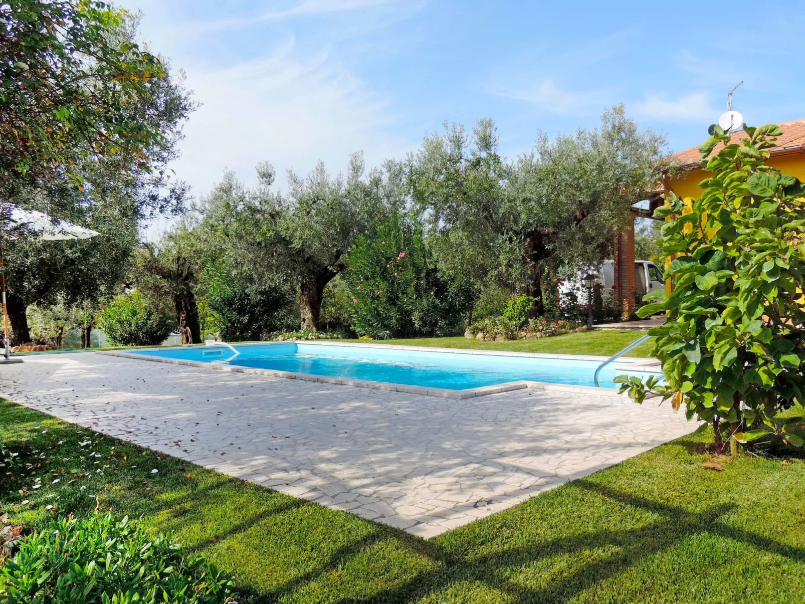 Olive Grove Sabina-Outside