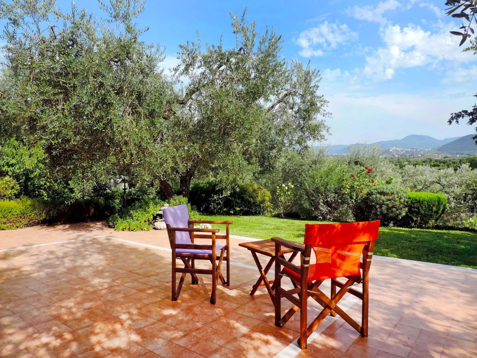 Olive Grove Sabina-Outside