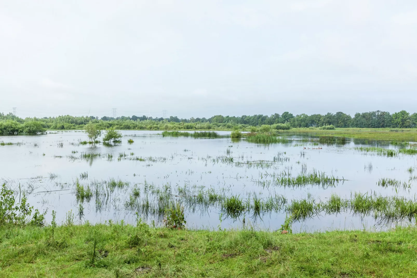 De Vrije Vogel-Areas summer 5km