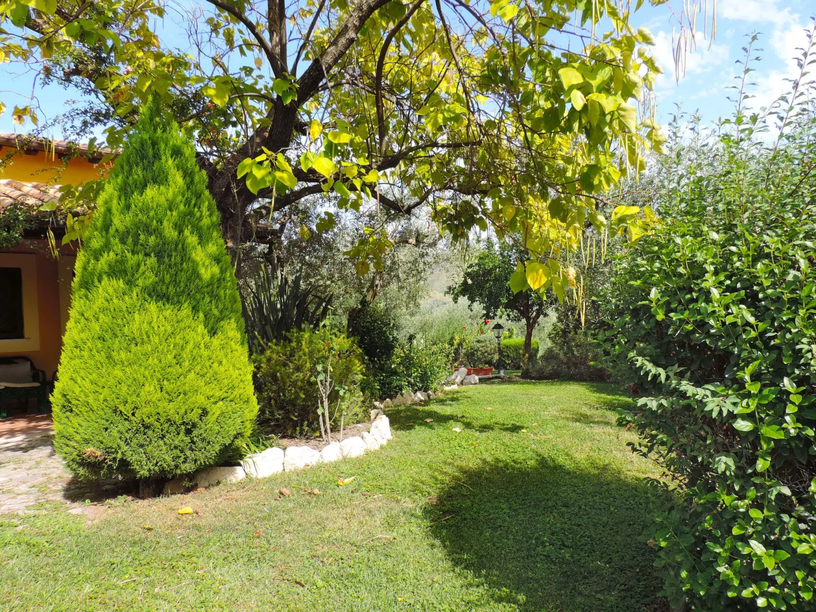 Olive Grove Sabina-Outside