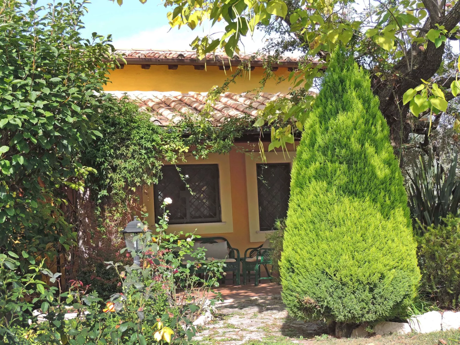 Olive Grove Sabina-Outside