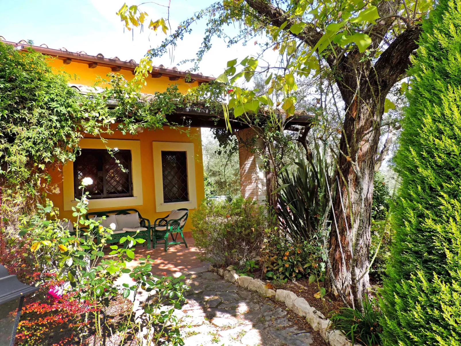 Olive Grove Sabina-Outside