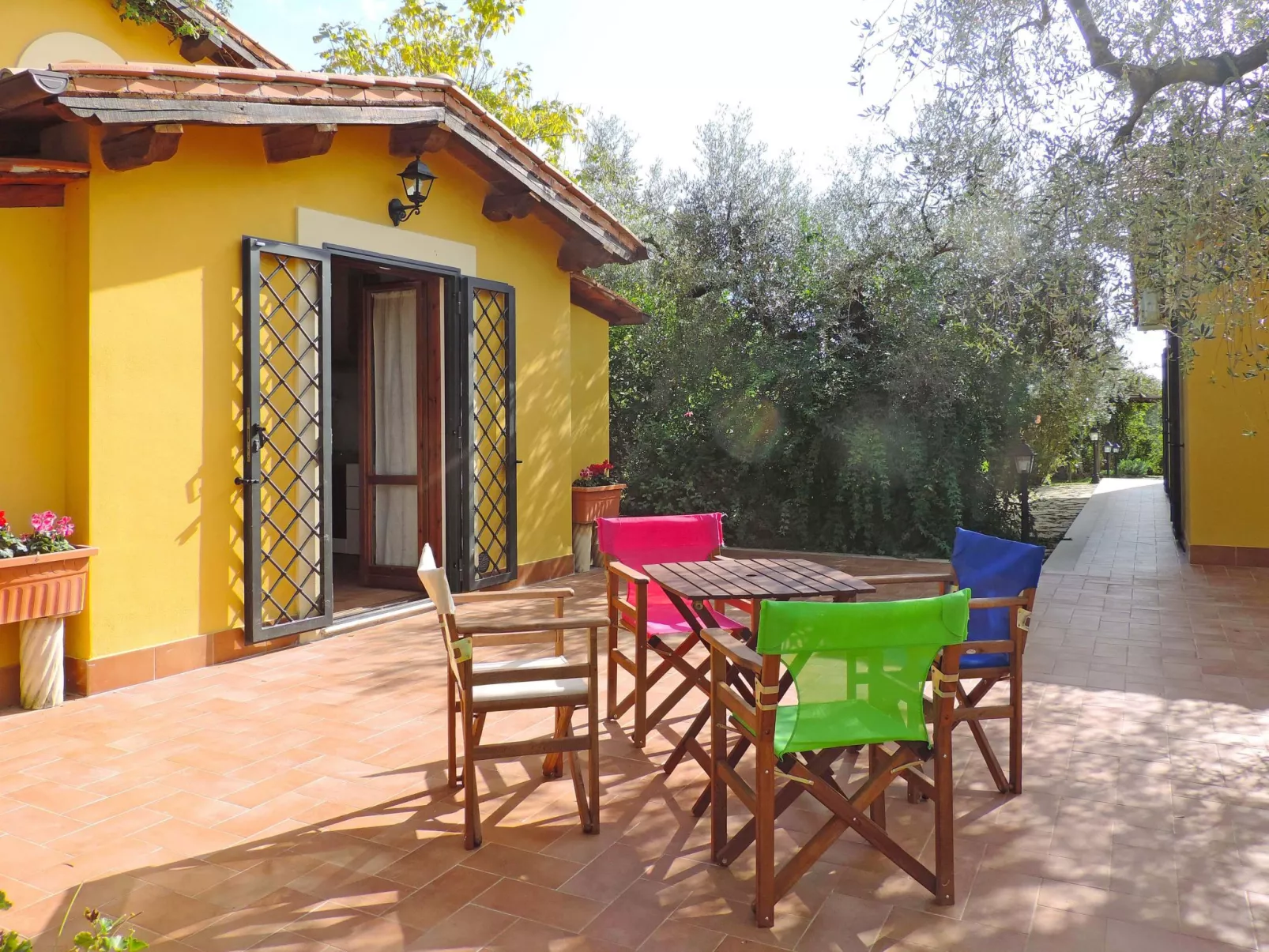 Olive Grove Sabina-Outside