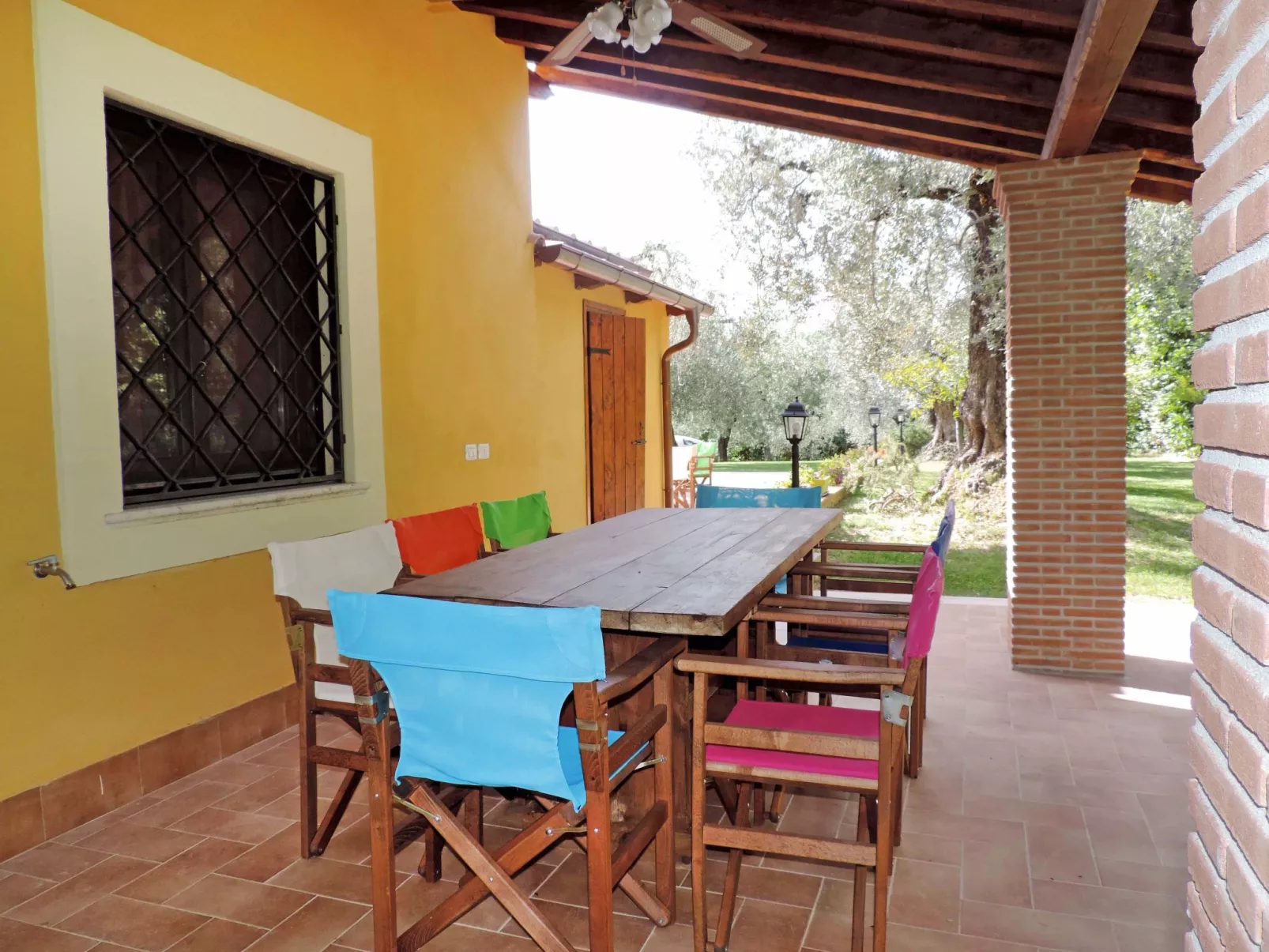 Olive Grove Sabina-Outside
