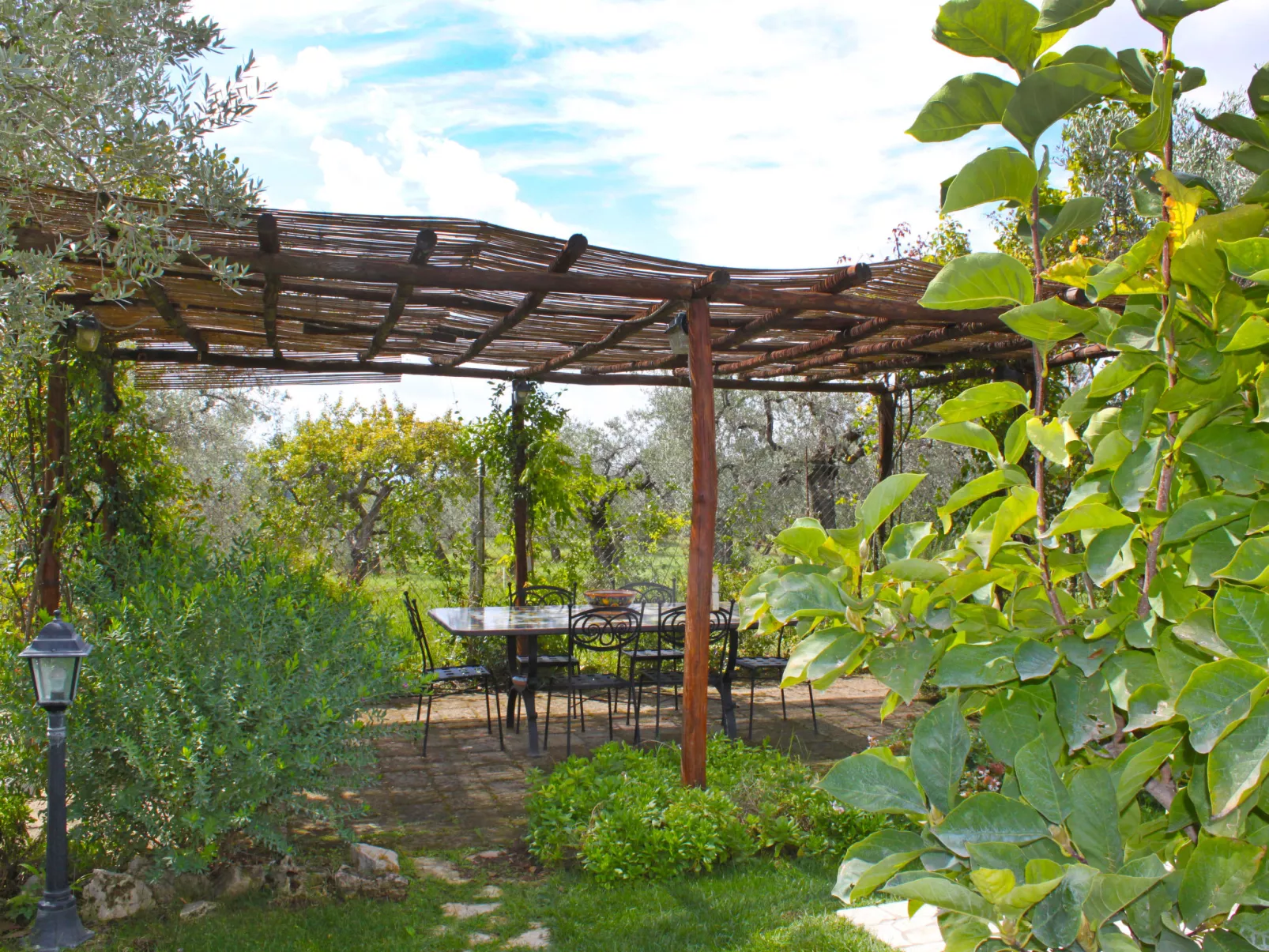 Olive Grove Sabina-Outside