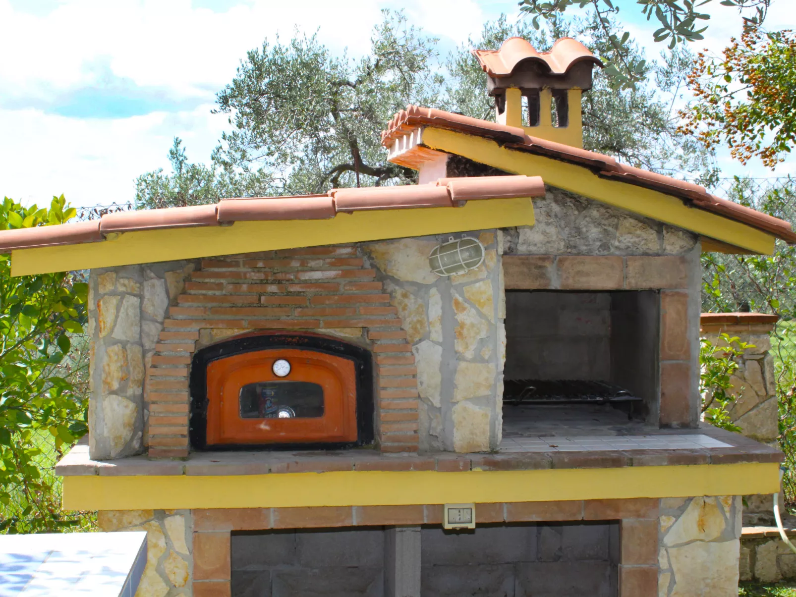 Olive Grove Sabina-Outside