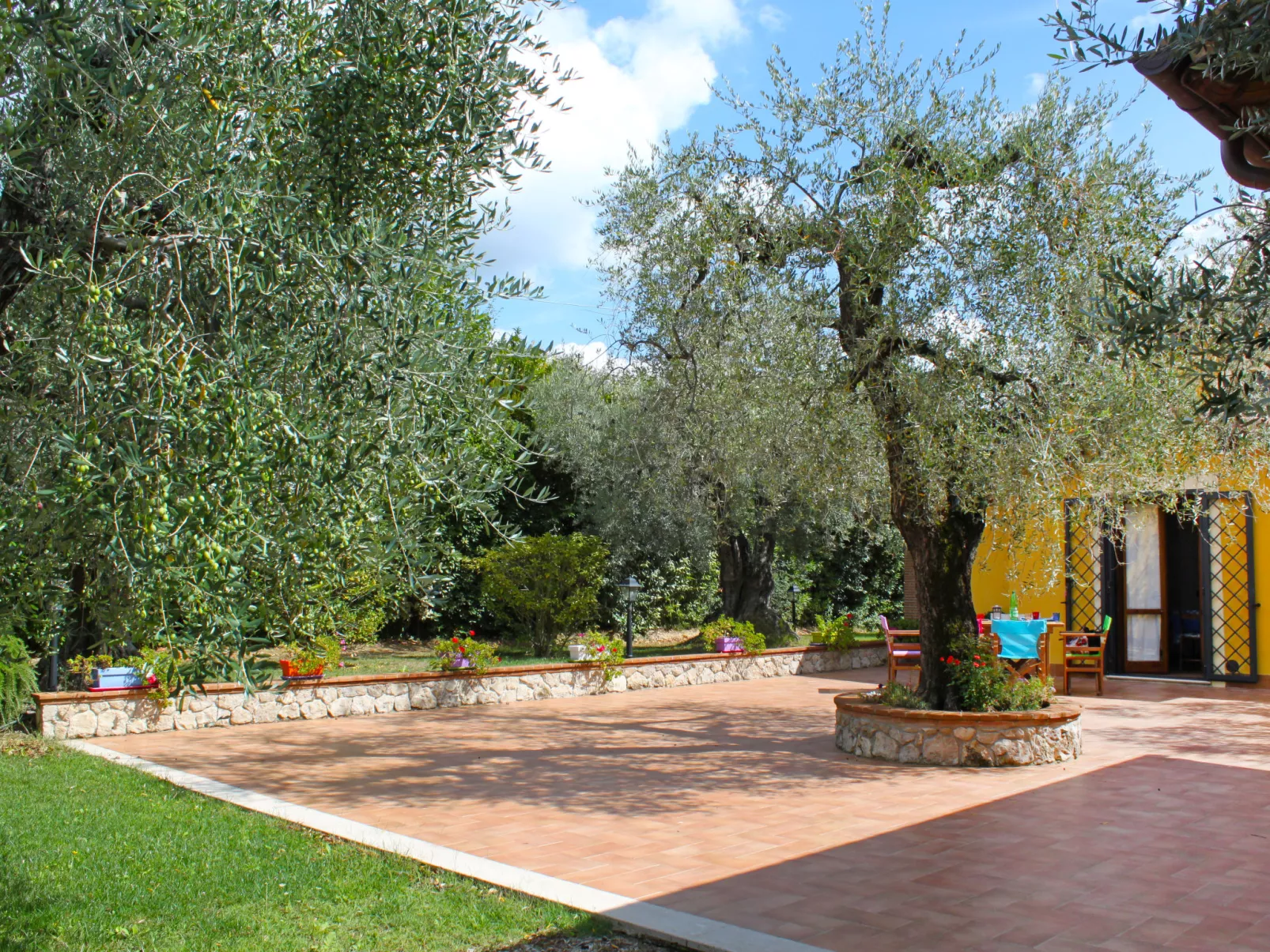 Olive Grove Sabina-Outside