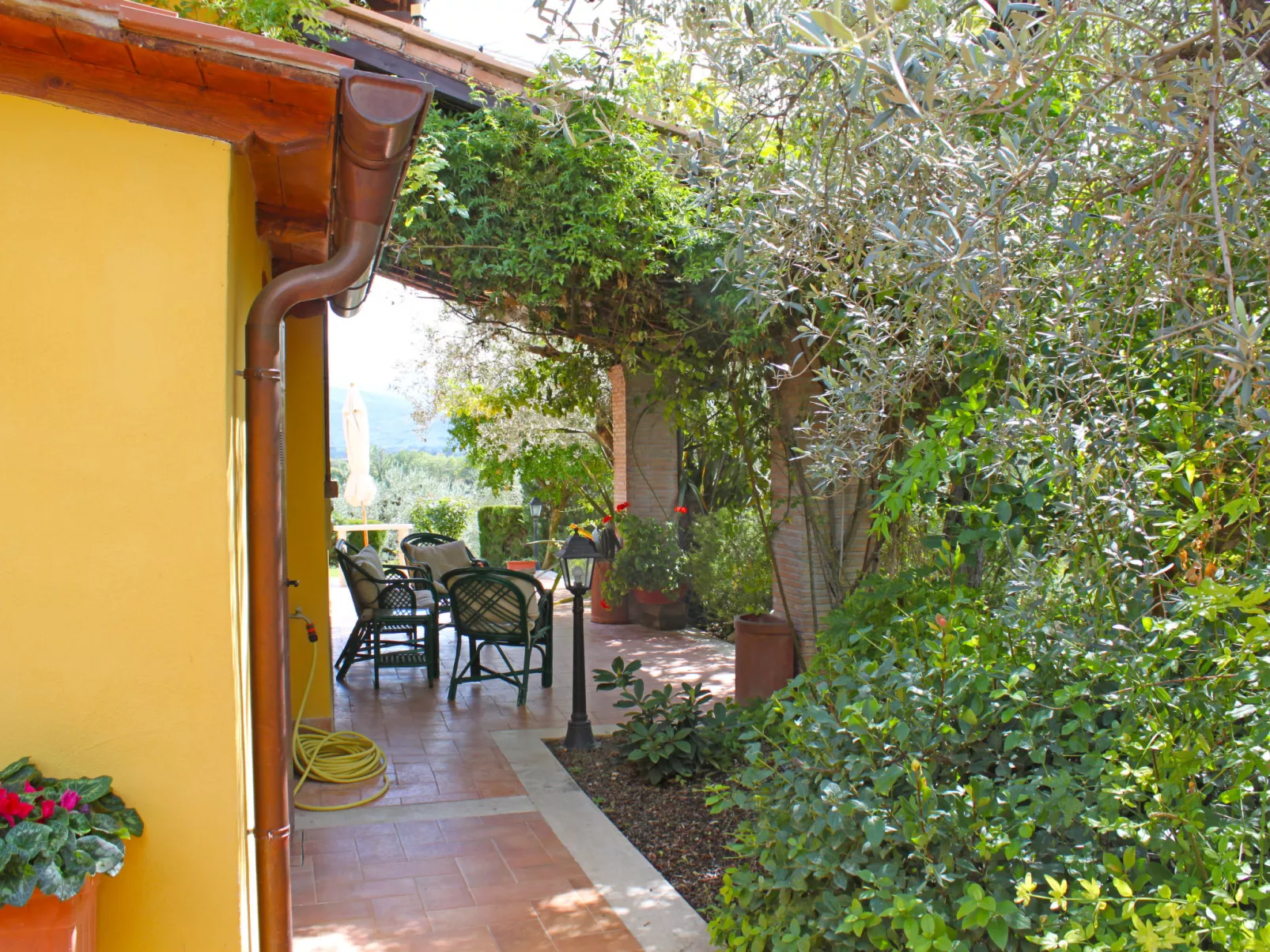 Olive Grove Sabina-Outside