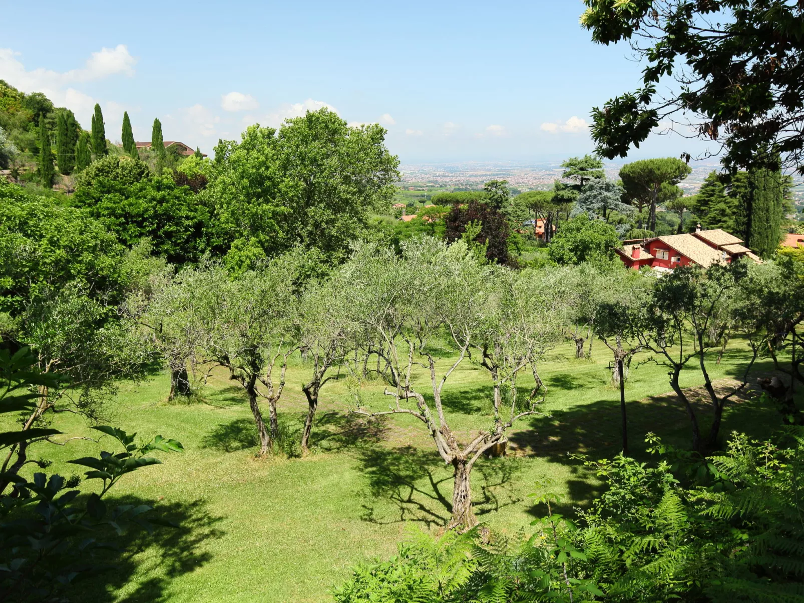Villa Mina-Outside
