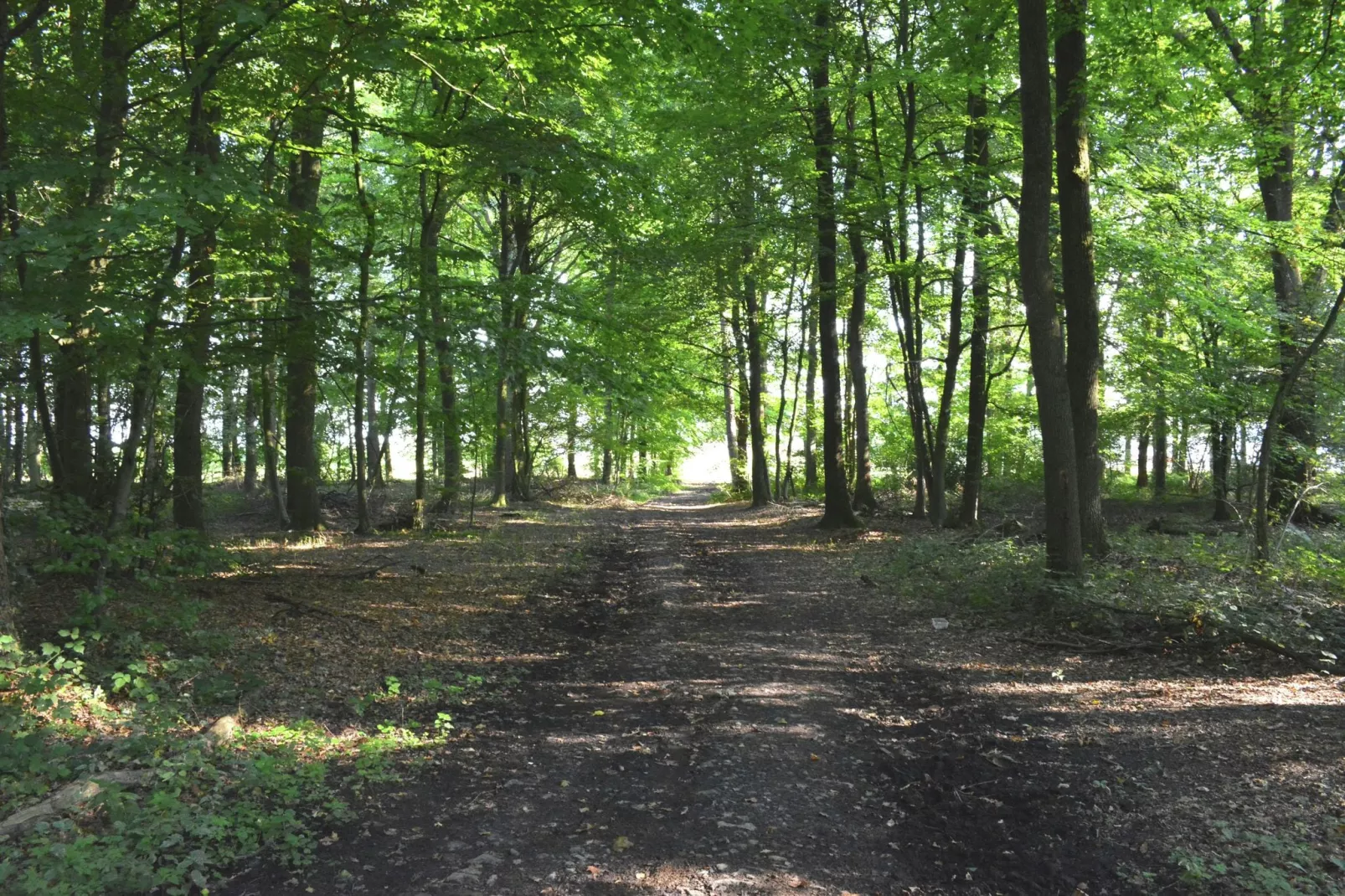 Mise Au Vert-Areas summer 1km