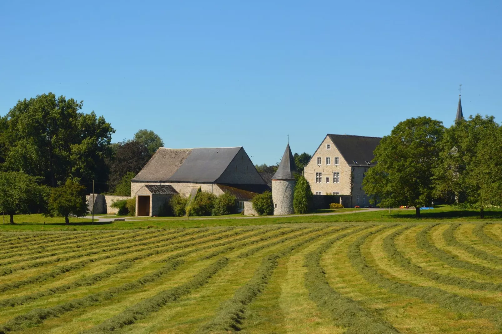 Mise Au Vert-Areas summer 5km