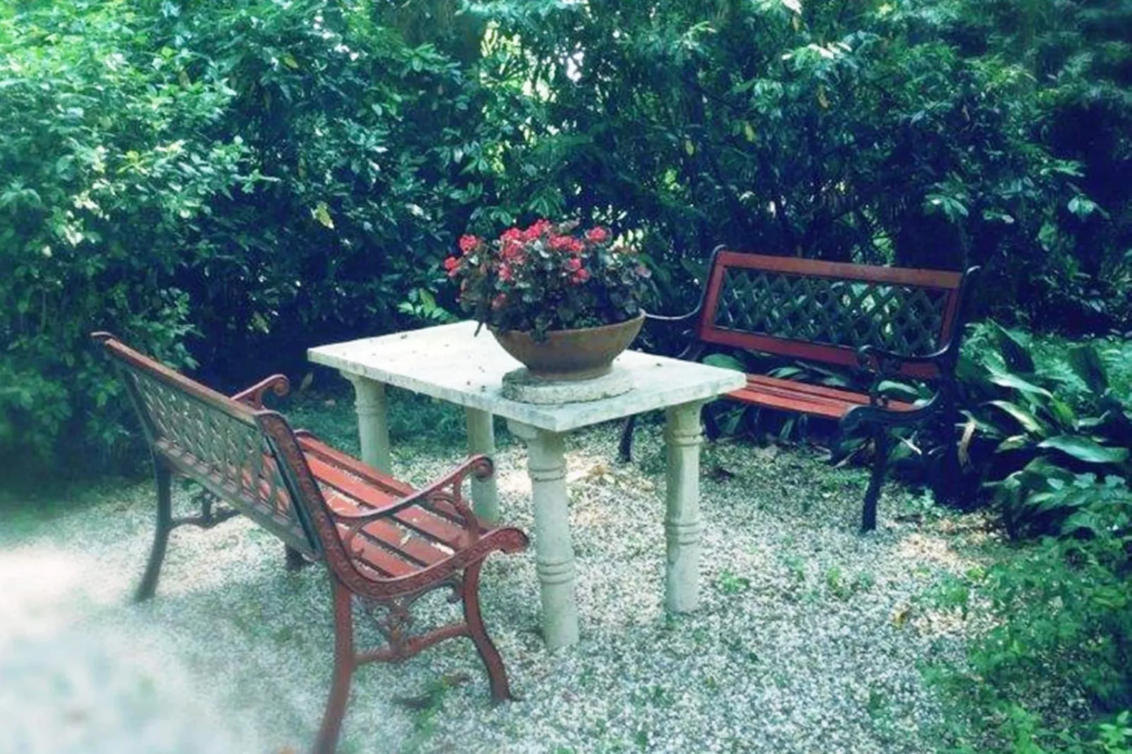 Villa Fiorita Tre-Gardens summer