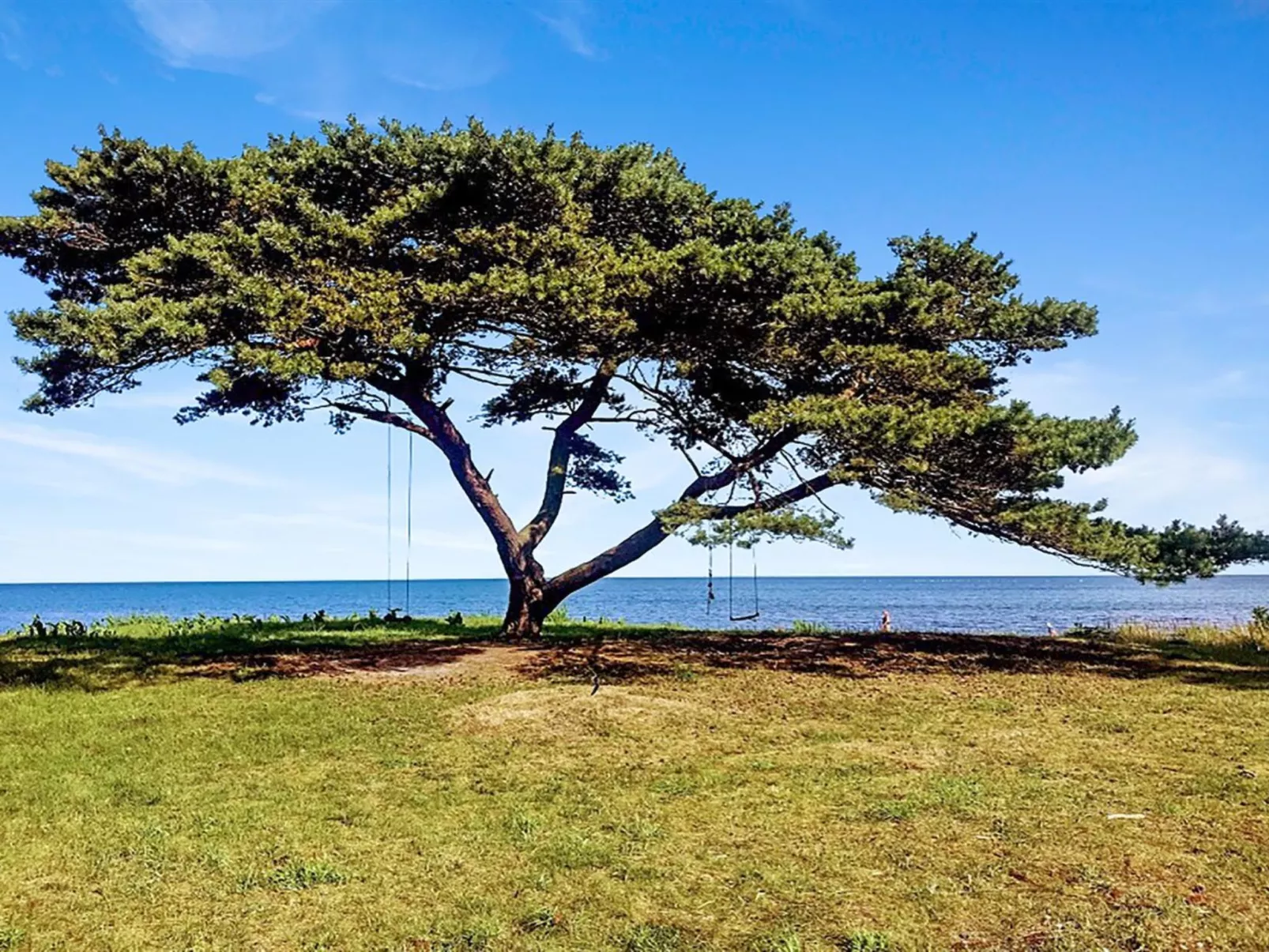 "Anemette" - 100m from the sea