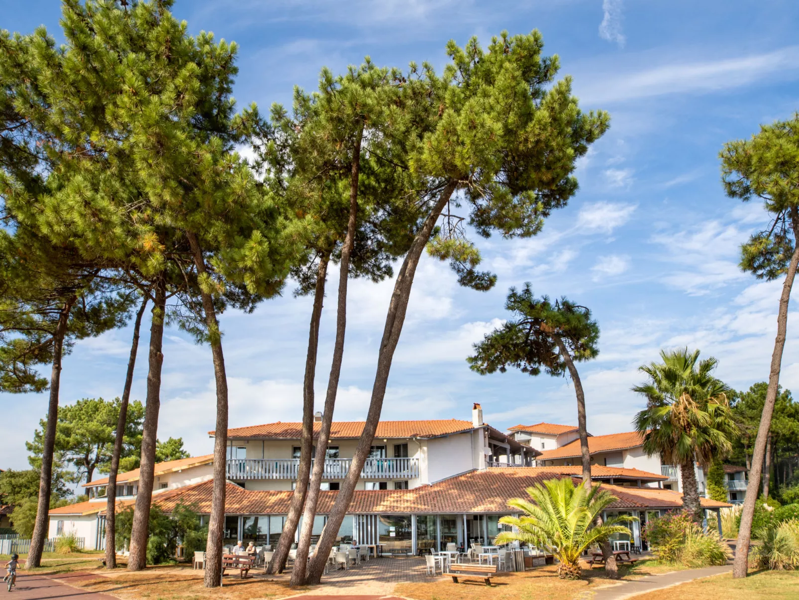 Sowell Family Pignada Plage-Inside
