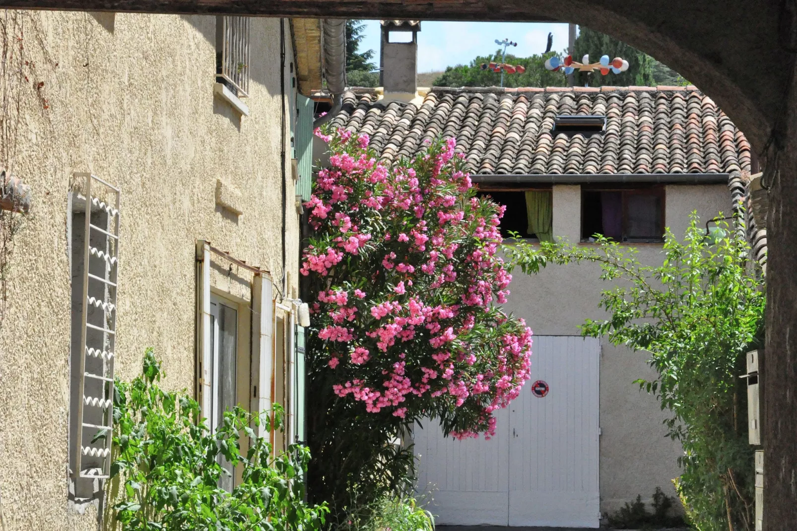 Les Collines-Areas summer 5km