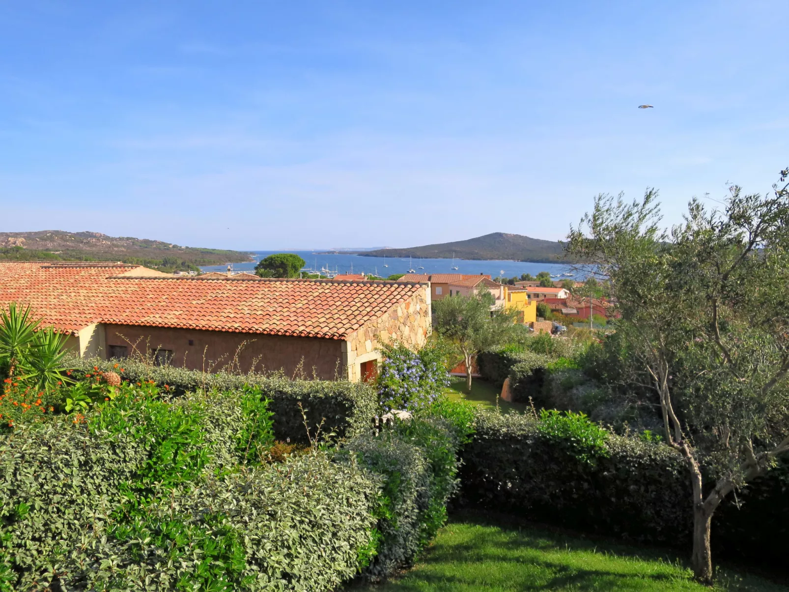 Il Fjordo trilo (PPZ161)-Outside