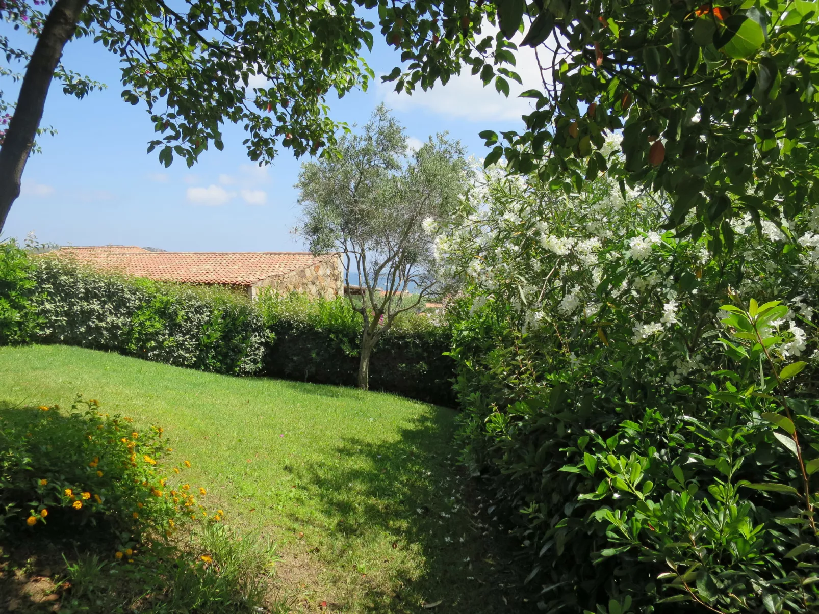 Il Fjordo trilo (PPZ161)-Outside