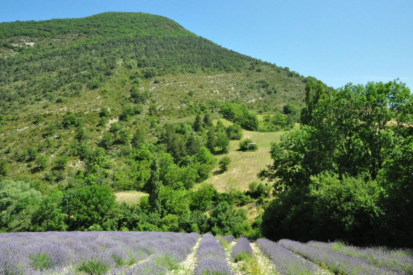 Villa Belle Suzette-Areas summer 5km