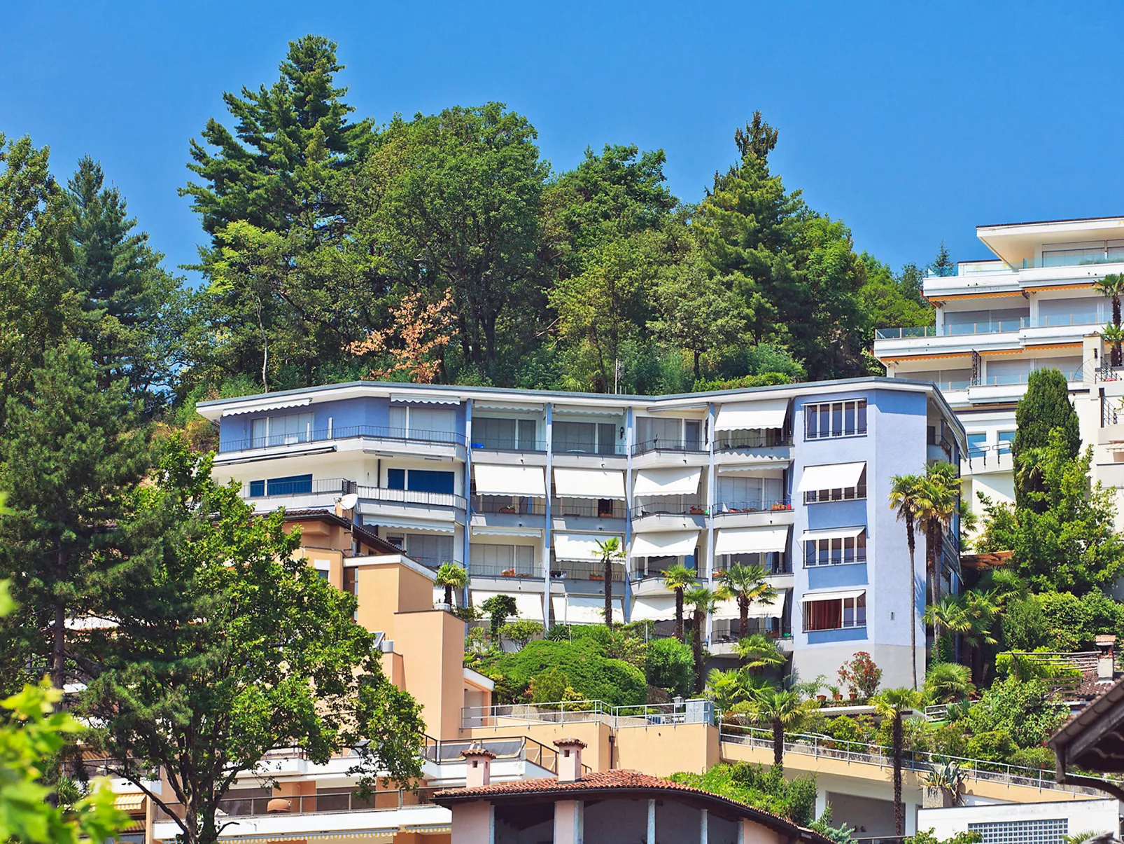 Suite Modern - Outside