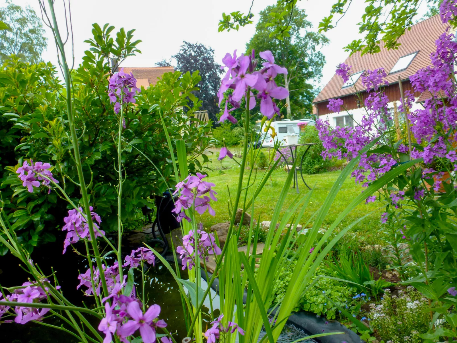 Schmetterlingsgarten-Outside