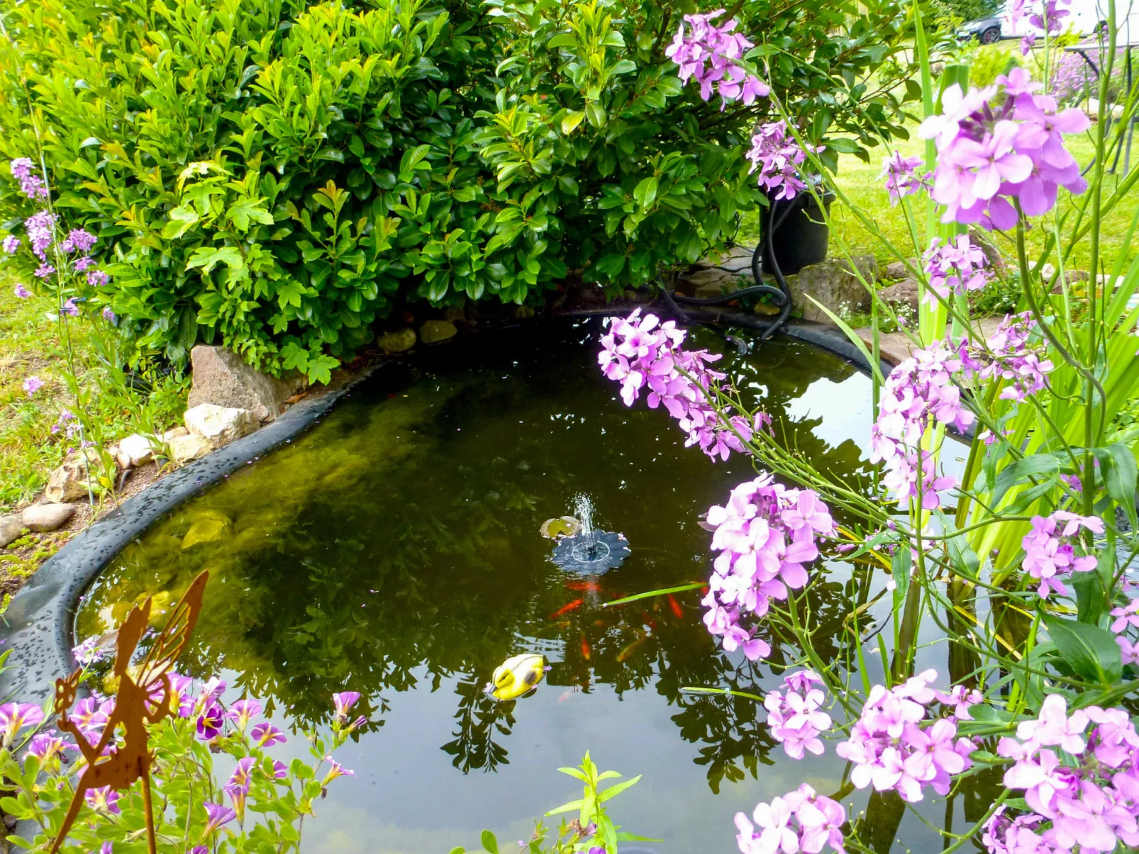 Schmetterlingsgarten-Outside