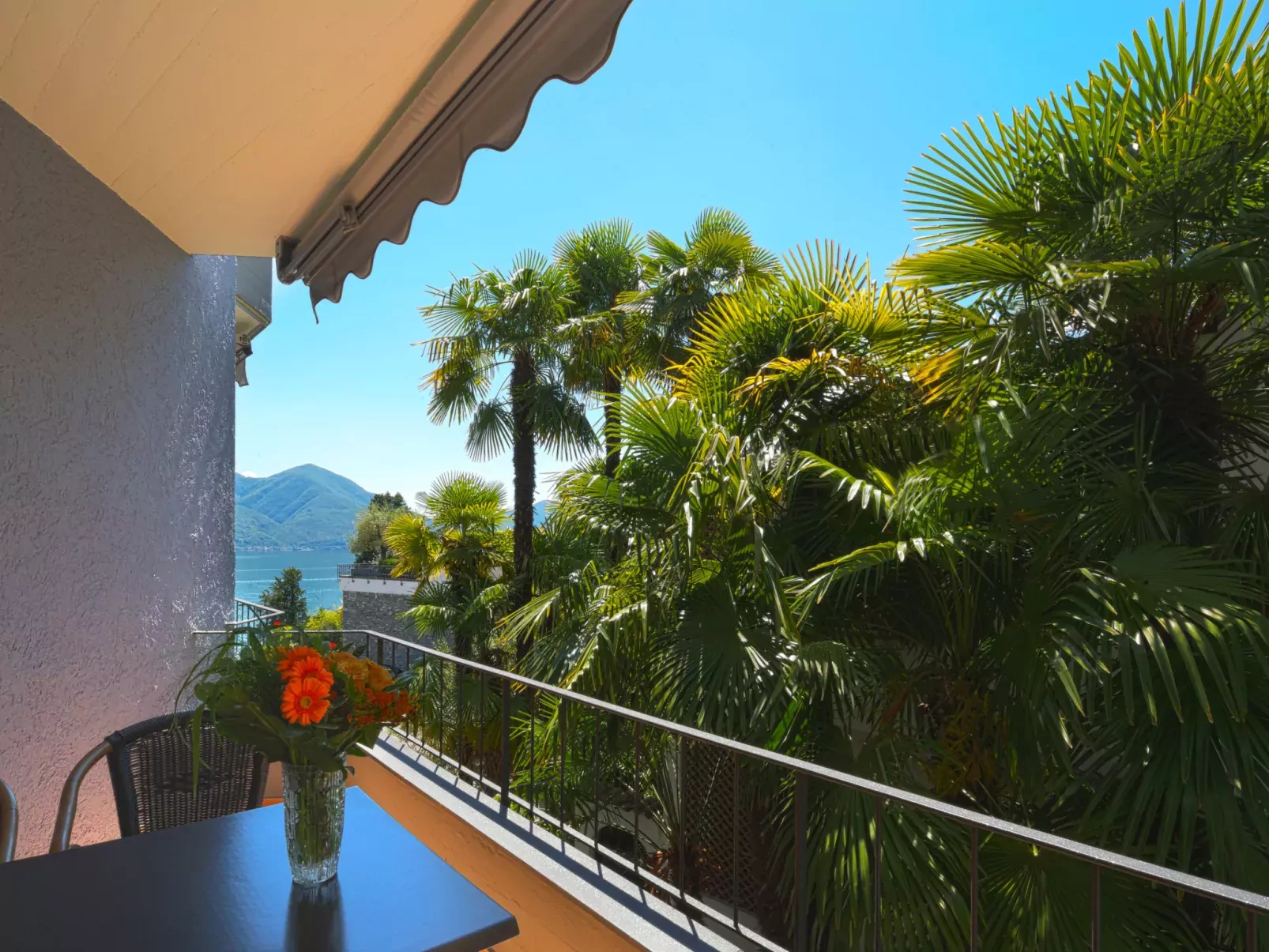 Junior Suite Modern-Outside
