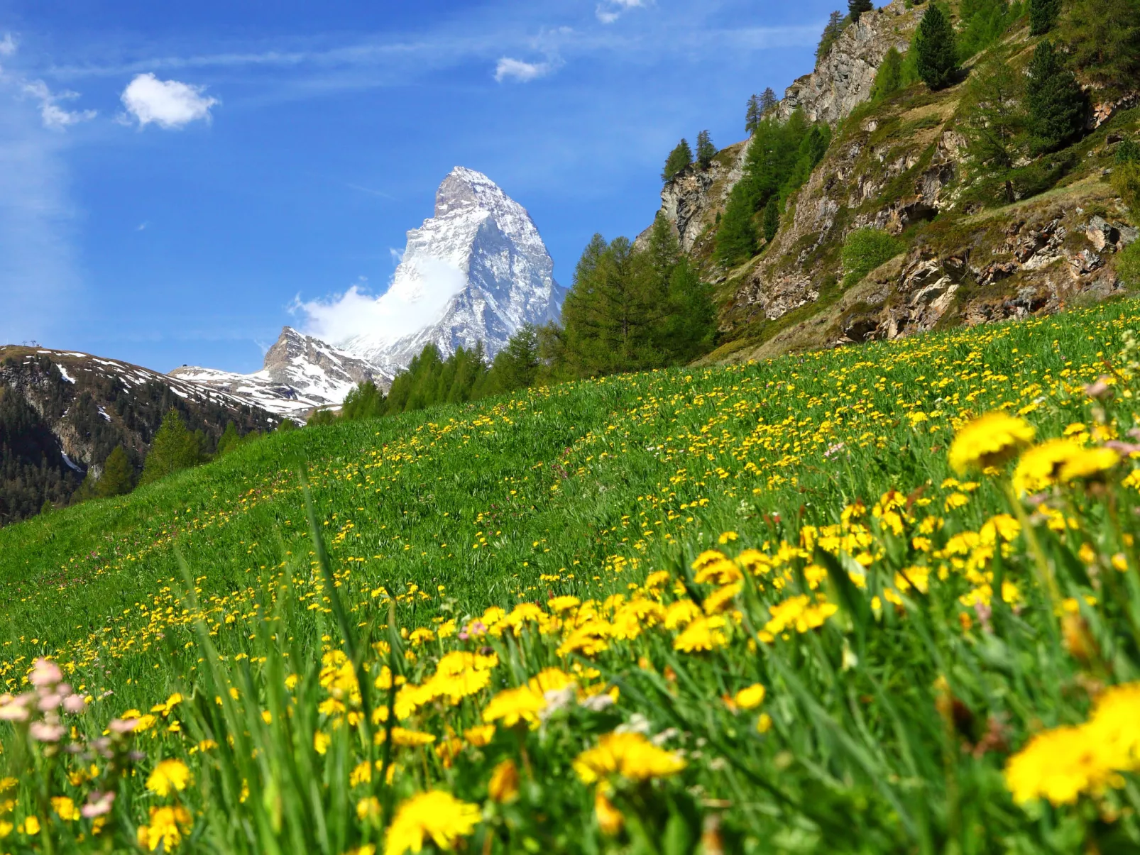 Breithorn-Area