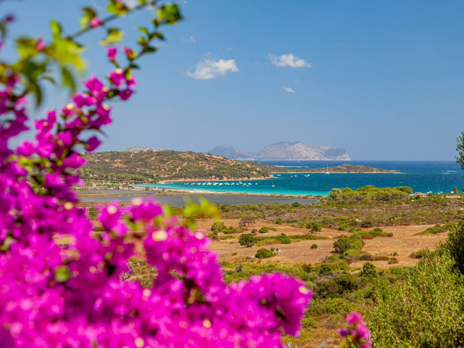 Villa 6 sea view - Lu Nibareddu-Outside