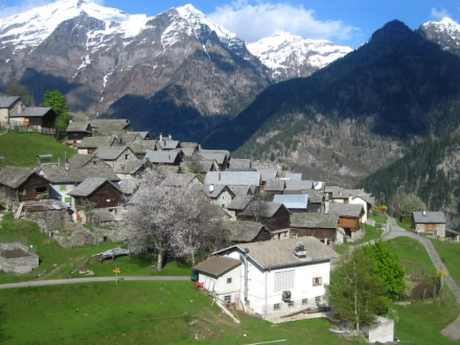 Rustico Dara Cotta-Area