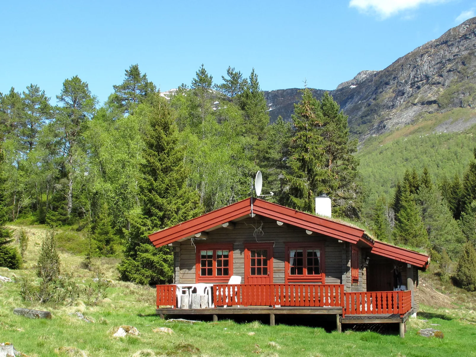 Fjellbris-Draußen