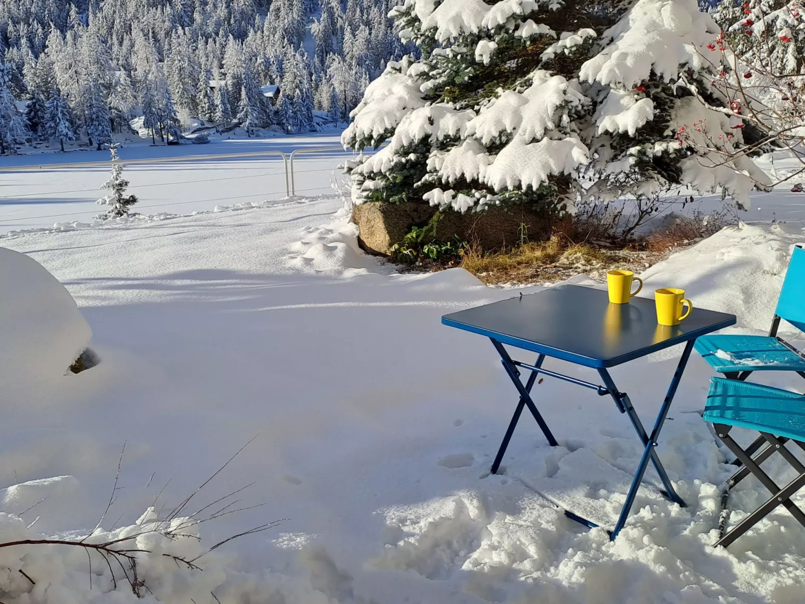Alpes et Lac 2-Outside