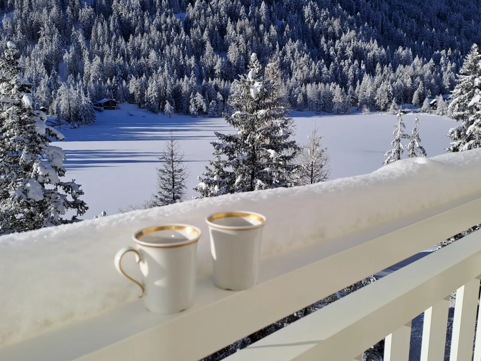 Alpes et Lac 40-Outside