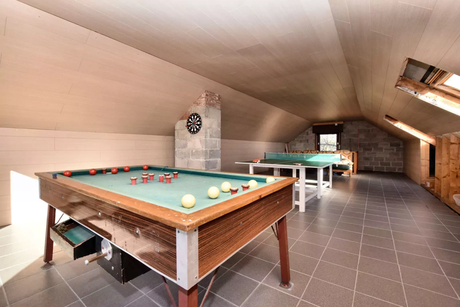 Le Sanglier-Recreation room