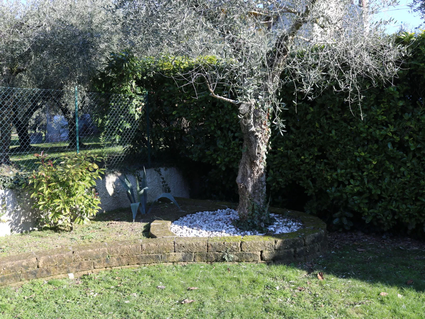 Madonnina-Dehors