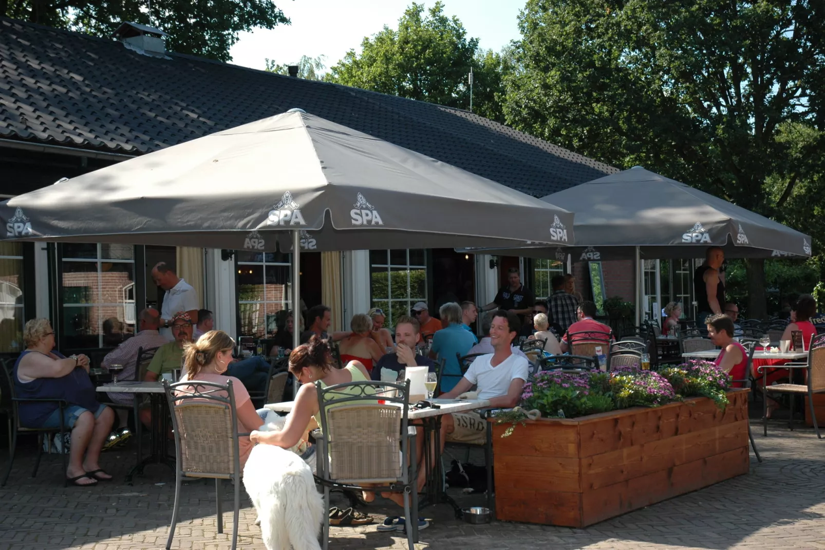 Recreatiepark Duinhoeve 3-Park facilities