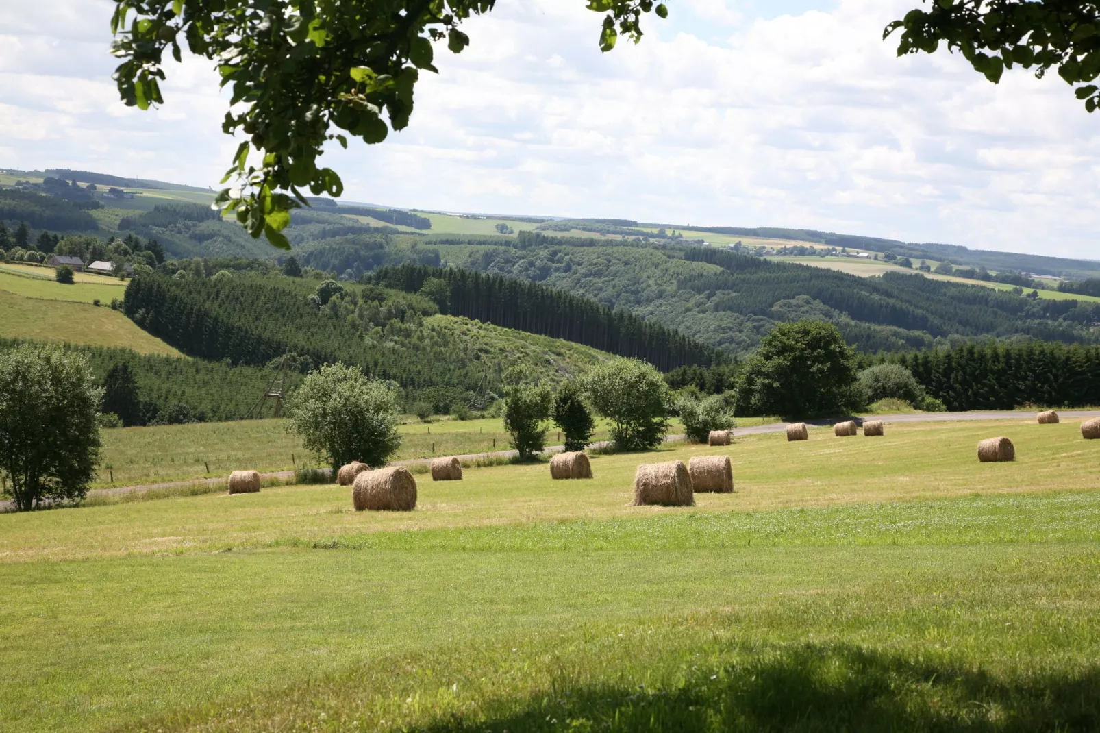 Le Sanglier-Areas summer 1km