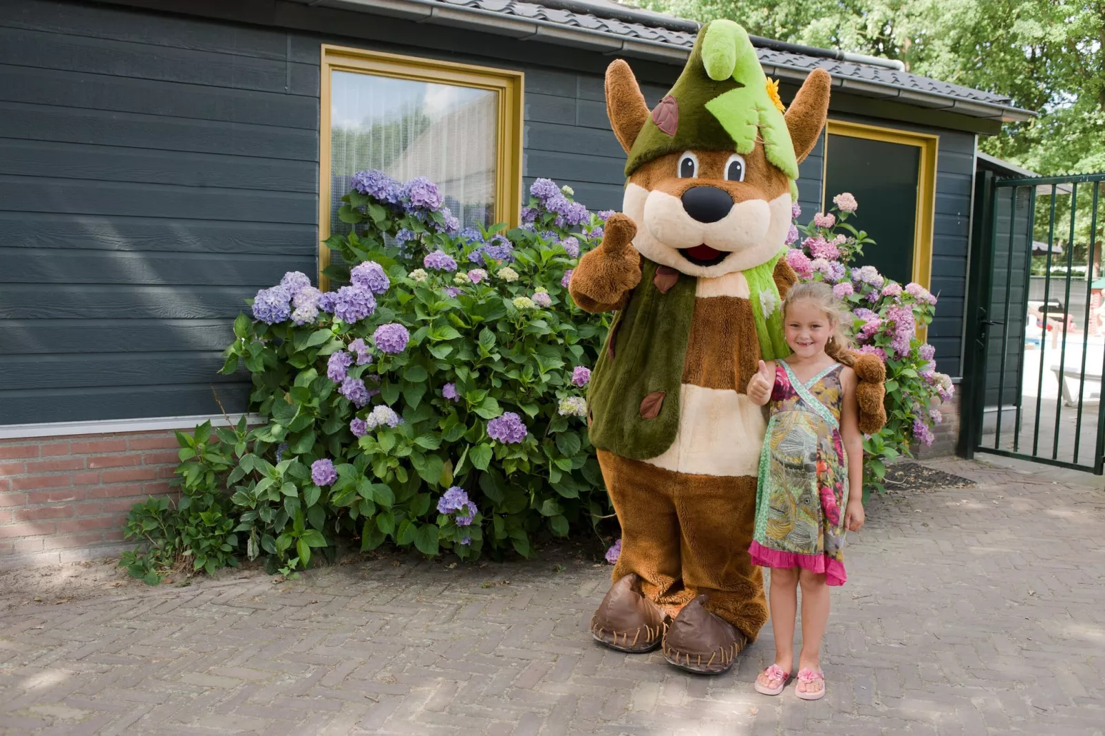 Recreatiepark Duinhoeve 3-Park facilities