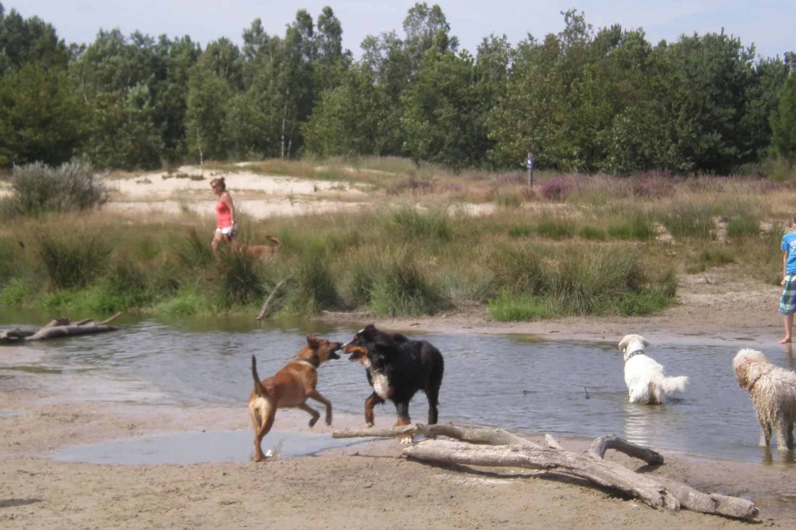 Recreatiepark Duinhoeve 3-Areas summer 1km