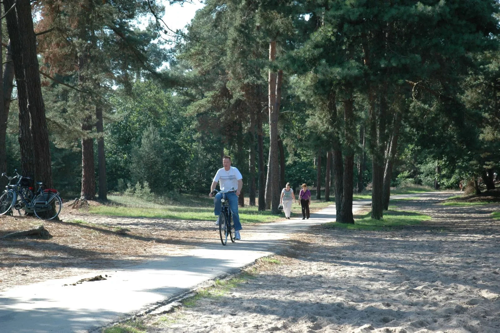 Recreatiepark Duinhoeve 3-Areas summer 1km