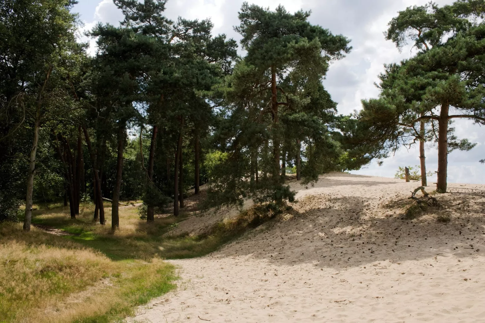 Recreatiepark Duinhoeve 3-Areas summer 1km