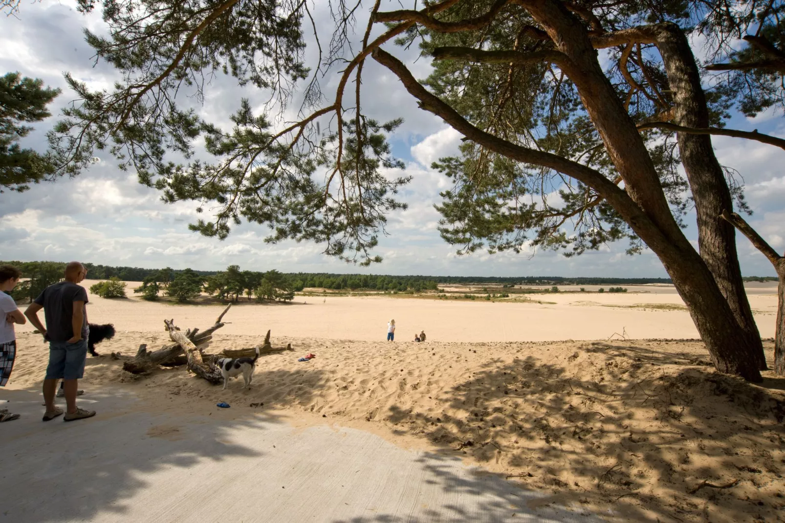 Recreatiepark Duinhoeve 3-Areas summer 1km