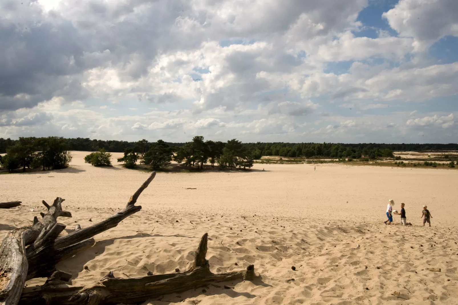 Recreatiepark Duinhoeve 3-Areas summer 1km
