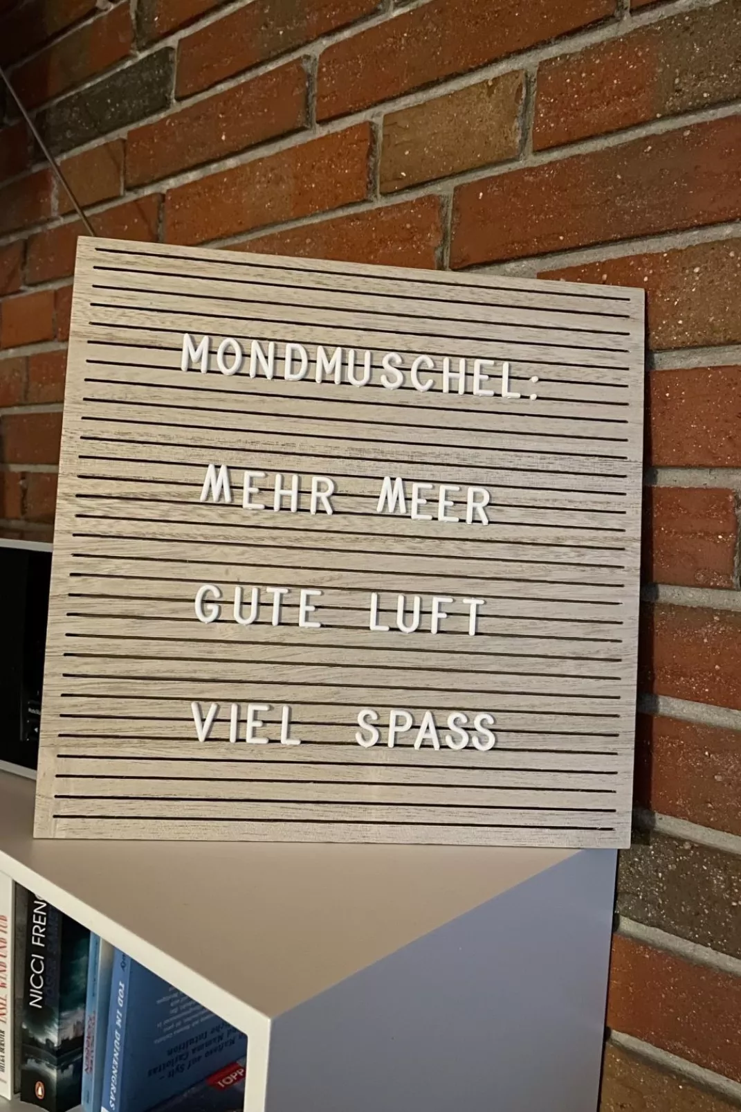 Mondmuschel-Outside