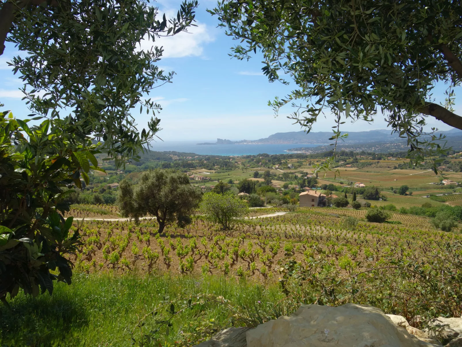 Les Vignes-Outside